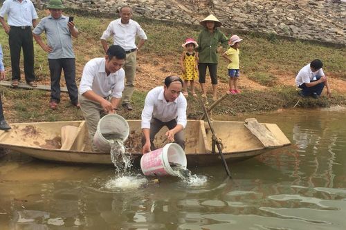 Thả 2 triệu con cá giống tái tạo nguồn thủy sản