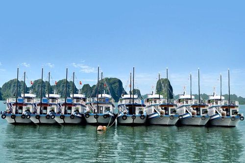 Quảng Ninh: Giải nỗi lo về phí môi trường và nỗi lo bị dừng tàu du lịch