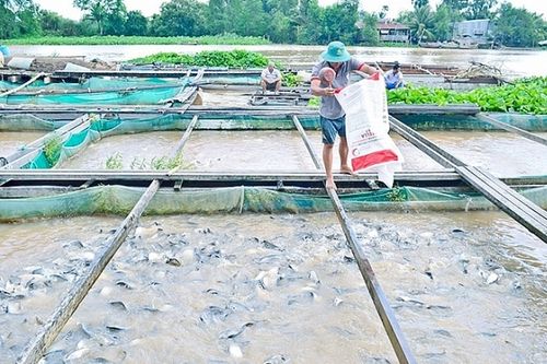 Các xã nông thôn mới xây dựng OCOP