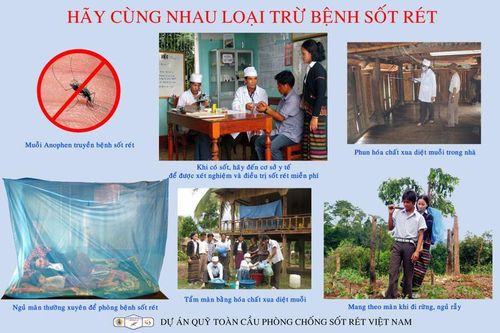 Phòng tránh bệnh sốt rét trước nguy cơ bùng phát thành dịch
