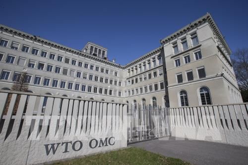 'Giải cứu' WTO khỏi cơn khủng hoảng
