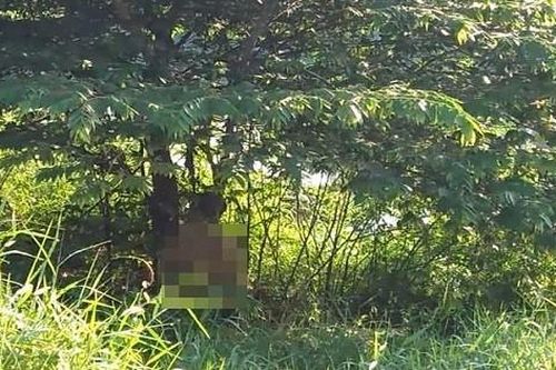 Nghi án người đàn ông chi chít hình xăm tử vong trong tư thế treo cổ ở gốc cây