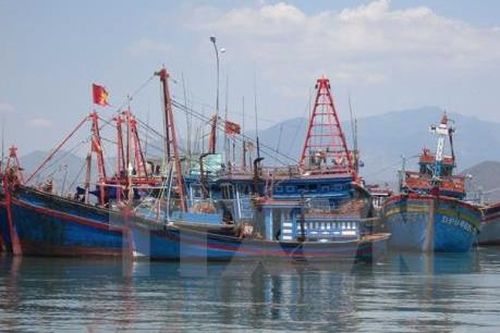 Trà Vinh hướng đến mục tiêu trở thành tỉnh trọng điểm về phát triển thủy sản