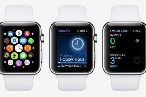 Nâng cấp lên watchOS 5.1 có thể làm Apple Watch bị treo
