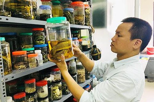 Vị tiến sĩ có thể ngửi mùi rắn đang ở gần mình