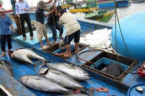 Quyết tâm gỡ 'thẻ vàng' đối với thủy sản vào đầu năm 2019