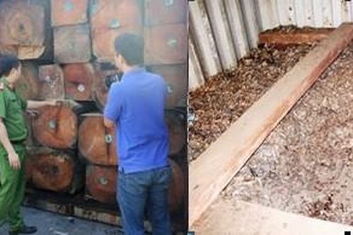 Phát hiện số lượng lớn vảy tê tê 'độn' trong container gỗ quý