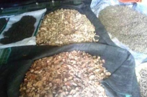 Phát hiện cơ sở hành nghề thuốc nam không giấy phép