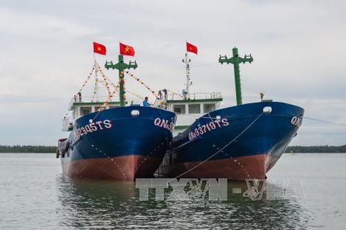 Ngư dân trẻ Quảng Nam tích cực vươn khơi, bám biển
