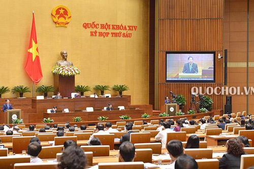Dự thảo Luật Trồng trọt còn bỏ trống giống cây trồng biến đổi gen