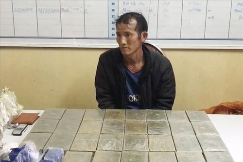 Rạng sáng, bắt đối tượng vận chuyển 30 bánh heroin ở Sơn La