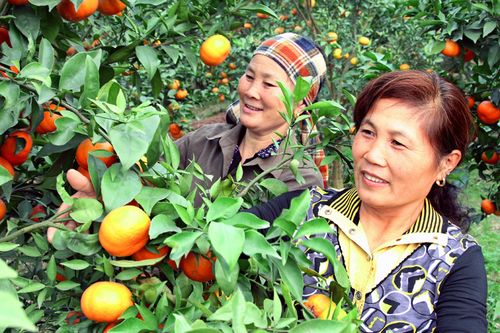 Muốn đắt hàng phải giữ giá trị