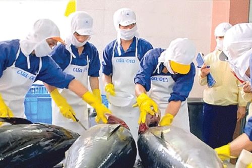 Doanh nghiệp nhập khẩu hải sản kêu cứu do 'tắc' tại cảng