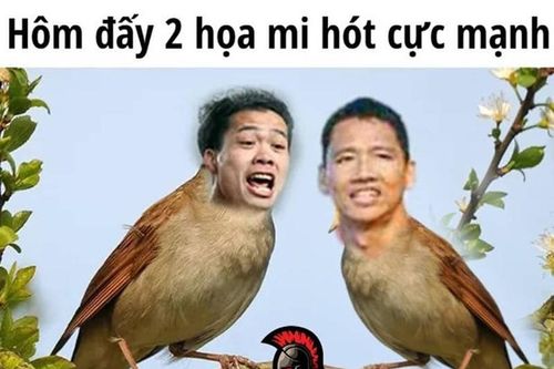 Công Phượng, Anh Đức 'sáng' nhất mạng xã hội sau trận thắng Malaysia