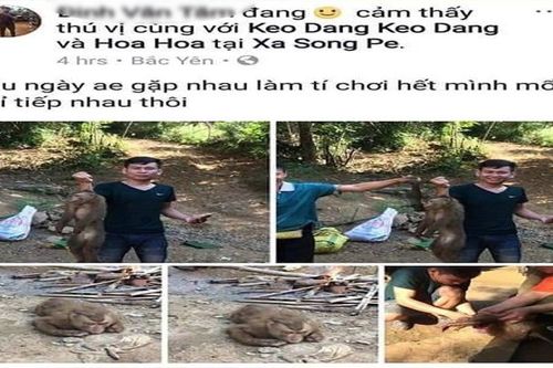 Xác định nam thanh niên giết khỉ dã man rồi đăng ảnh lên Facebook