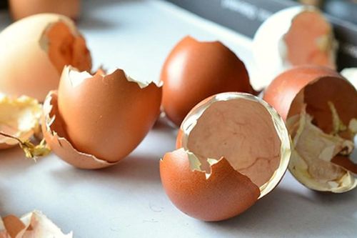 Cách cải thiện chiều cao tốt hơn cả uống sữa chỉ bằng vỏ trứng