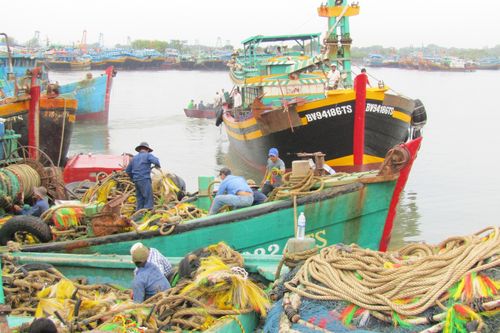 Bà Rịa - Vũng Tàu căng mình chống bão số 9