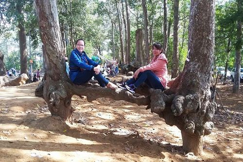 Hơn 550 triệu đồng bảo dưỡng hàng trăm cây cổ thụ quý ở Trà Vinh