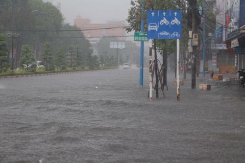 Bão số 9 vào Bà Rịa - Vũng Tàu: Đường phố ngập nặng, cây gãy đổ hàng loạt