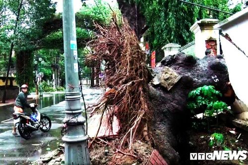 Ngày mai hơn 200.000 học sinh Bà Rịa - Vũng Tàu tiếp tục nghỉ học để tránh bão