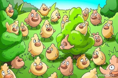 Đố bạn tìm thấy chú lợn đang ẩn nấp trong trại gà