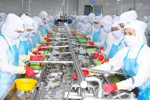Khai thác 'mỏ vàng' từ phụ phẩm tôm