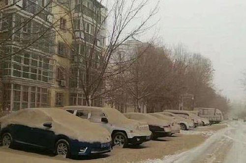 'Tuyết vàng' phủ kín nhiều thành phố ở Trung Quốc