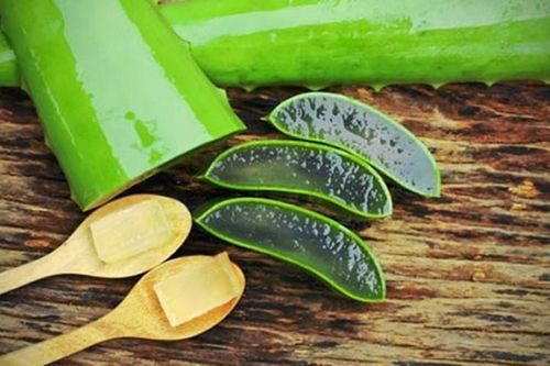 Không thể tin nổi công dụng thần kỳ của cây nha đam