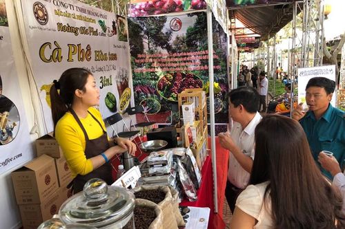 Giảm xuất khẩu cà phê nhân, tăng sản lượng rang xay và hòa tan