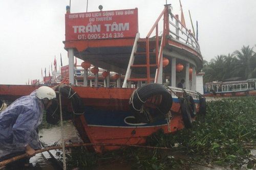 Mưa xối xả cuốn cả tấn lục bình bủa vây con sông chảy qua phố cổ Hội An