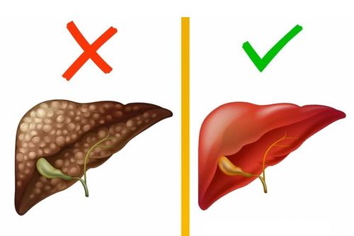Cách thanh lọc gan hiệu quả trong hai tuần