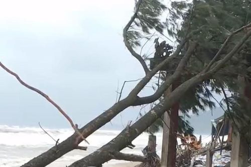 12 điểm sạt lở kéo dài 30km đe dọa hàng ngàn hộ dân tại Huế