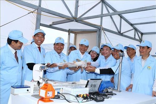 Thủ tướng thăm Khu sản xuất cá tra giống công nghệ cao tại An Giang