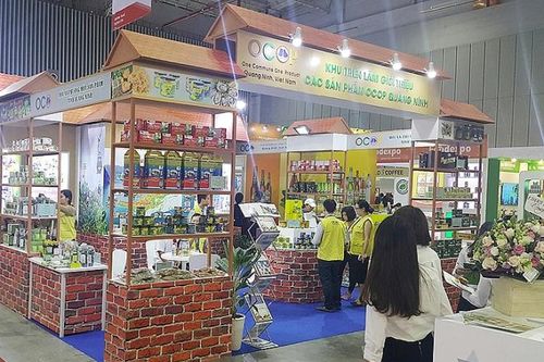 Quảng Ninh: Phát triển ngành dịch vụ có lợi thế