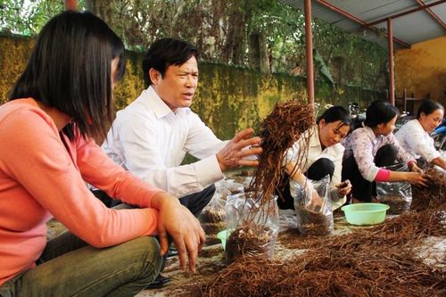 8,7 triệu lao động nông thôn được học nghề
