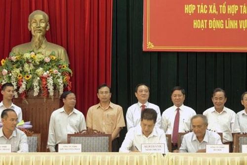Tăng kết nối trong phát triển nông nghiệp, nông thôn ở Ninh Thuận