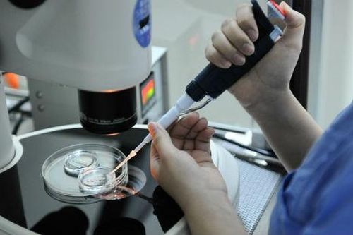 Rắc rối vì con giống... hàng xóm sau khi sinh từ 'ngân hàng tinh trùng'
