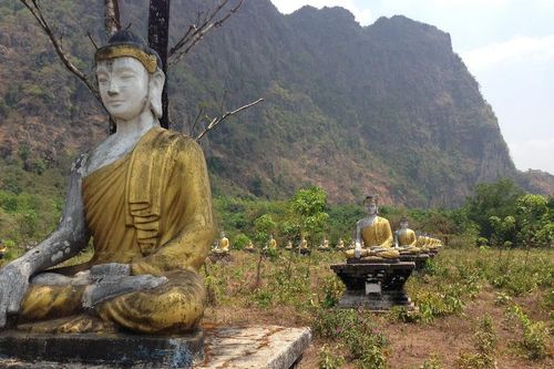 Năm cái thấy