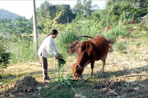 Diện mạo mới ở xã ATK Trung Yên