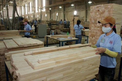 Khai thác 27 triệu m3 gỗ: Kỷ lục mới của Việt Nam