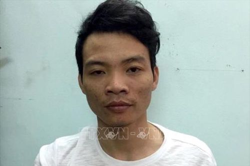 Liên tiếp triệt phá đường dây mua bán bộ phận cơ thể người qua mạng xã hội