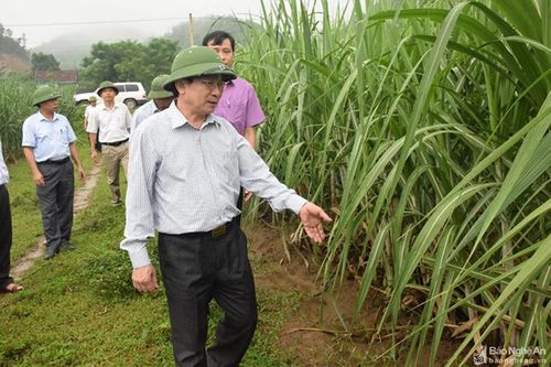 Tân Kỳ: 56 hộ nghèo tự nguyện viết đơn xin thoát nghèo.