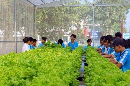 Khi thầy giáo dạy học sinh trồng rau trong nhà màng