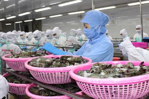 Xuất khẩu 2018: Chinh phục nhiều mục tiêu mới