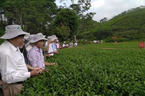 Quy hoạch xây dựng Nông thôn mới – Gắn với yêu cầu tam nông