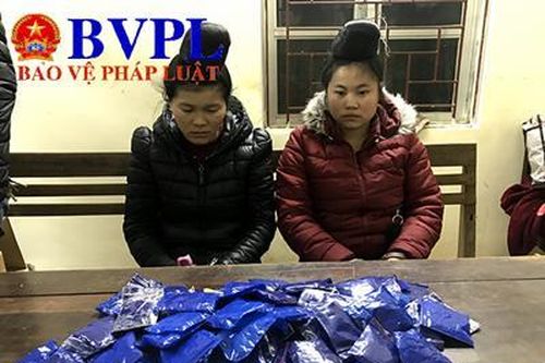 Hai sơn nữ vận chuyển hơn 17.000 viên ma túy tổng hợp
