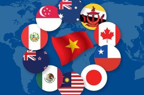 CPTPP có hiệu lực: Cơ hội và thách thức cho doanh nghiệp Việt