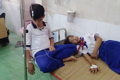 Bảo đảm an toàn thực phẩm dịp Tết và mùa lễ hội 2019
