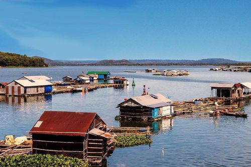 Sắc xuân ở làng cá bè La Ngà