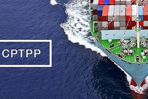 Thực thi CPTPP: Doanh nghiệp cần chuẩn bị như thế nào cho chứng nhận xuất xứ hàng hóa?